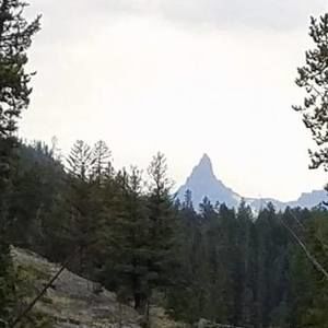 Meet your Posher, Tammy